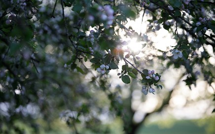 wunderschöne Frühlingshochzeit Hochzeitsreportage Bayern