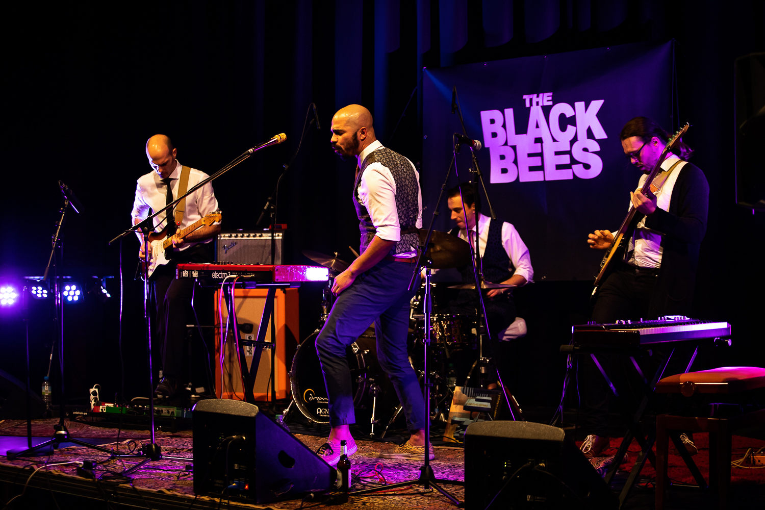 Bandfotografie: The Black Bees_Musikfortum-Bochum_dorinamilas